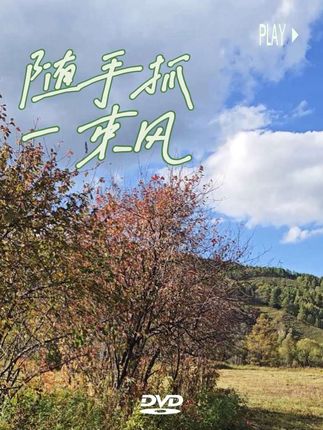 #二茬山韭菜 特别嫩,放上油装密封袋留着冬天吃跟新鲜的一样口感。