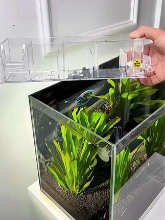 金利佳鱼缸过滤器净水循环三合一水泵外置滴流盒增氧设备#鱼缸过滤 #鱼缸改造 #鱼缸里的大自然 #水循环系统 #鱼缸滤材