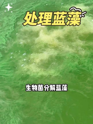 #鱼耀#水产养殖 #处理蓝藻