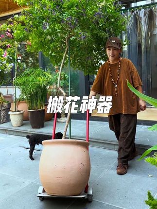 多功能搬花神器 承重力强 结实耐用 搬花搬重物都能用它来搞定 家庭必备#小院时光 #田园生活 #一花一草一世界 #爱生活爱养花 #花卉绿植
