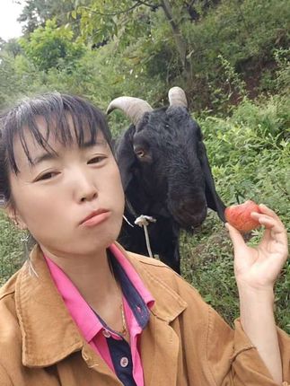 决情,都不给我留口
