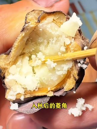 洪湖的菱角你吃过没!#洪湖美食 #在家做美食 #舌尖上的味道 #地方特色美食 #快来一起尝个鲜
