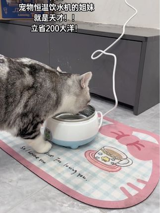 月新3k的扣搜 养猫人 终于让孩子用上恒温水碗了 #萌宠计划 #恒温水碗平替 #我的猫幸福我就幸福