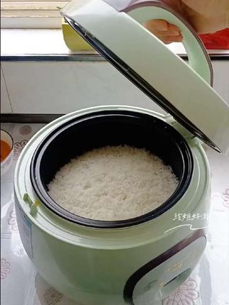 #半球电饭煲#多功能电煮锅#厨房电器#厨房好物#蒸煮一体