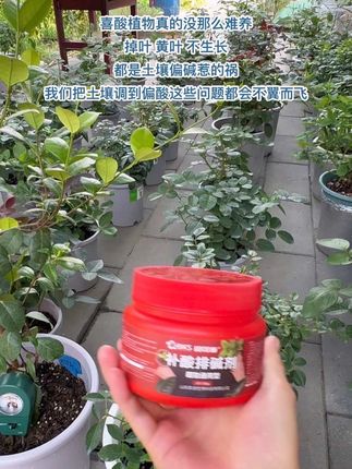 #养花小知识#爱生活爱养花#喜酸性植物