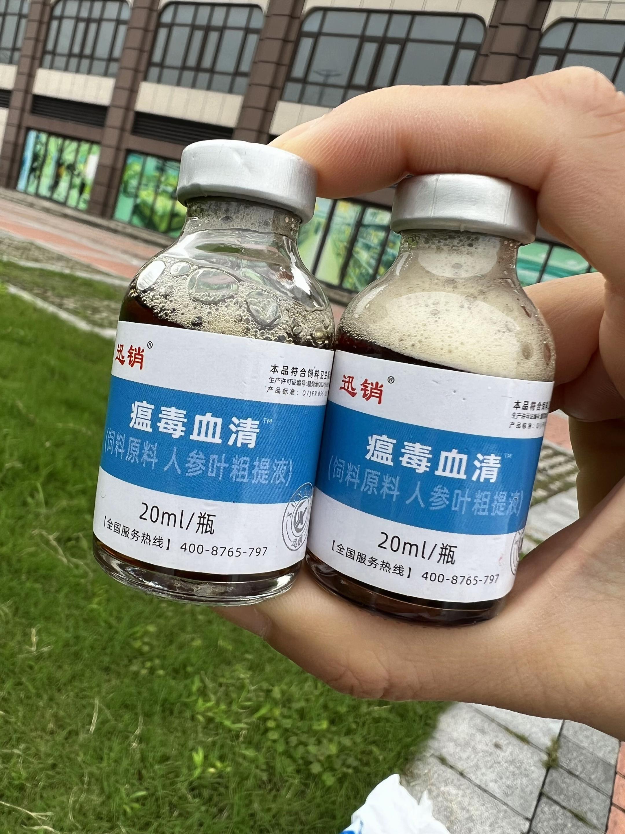 #养殖人 #养狗人 #狗狗细小病毒