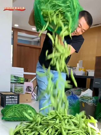 #九月青油豆角#产地直发#源头好货 #下饭菜 #超便宜超划算