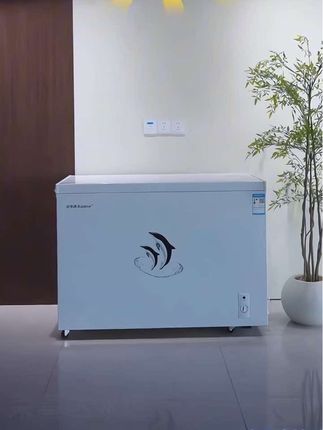 荣事达冰柜家用大容量全冷冻单门型冷柜节能两用双温#冰柜 #冰柜冰箱 #大容量 #家用电器 #居家好物