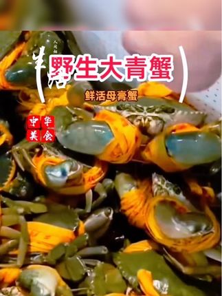 野生大青蟹#美食推荐 #快来一起尝个鲜 #舌尖上的味道 #海鲜美食 #舌尖上的抖音