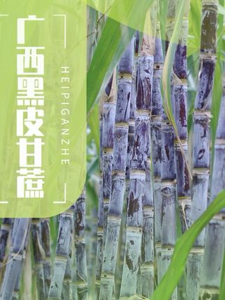广西黑皮甘蔗新鲜现砍脆甜多汁当季水果可榨汁甘蔗新鲜脆甜#质量好#好产品分享
