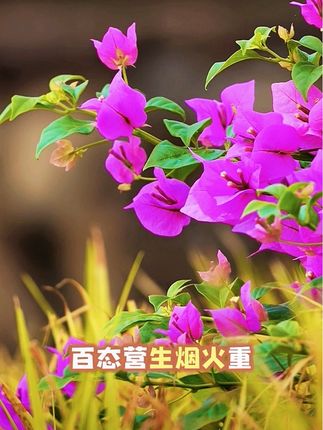 #治愈心情 尽享清欢