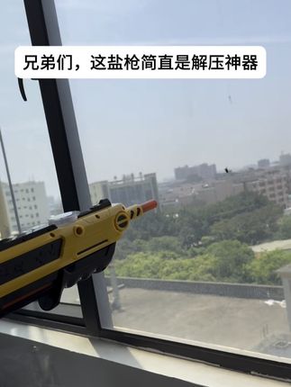 这玩具枪专治各种不服的小飞虫#新奇特玩具 #有男生会拒绝这个玩具吗 #大人也要玩玩具 #解压玩具 #盐枪