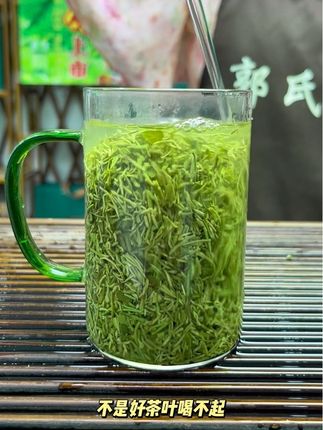 #信阳毛尖明前茶新茶 #信阳毛尖浓茶 #信阳毛尖口粮茶推荐 不是好茶买不起,而是风针更具性价比,老茶客的心头爱