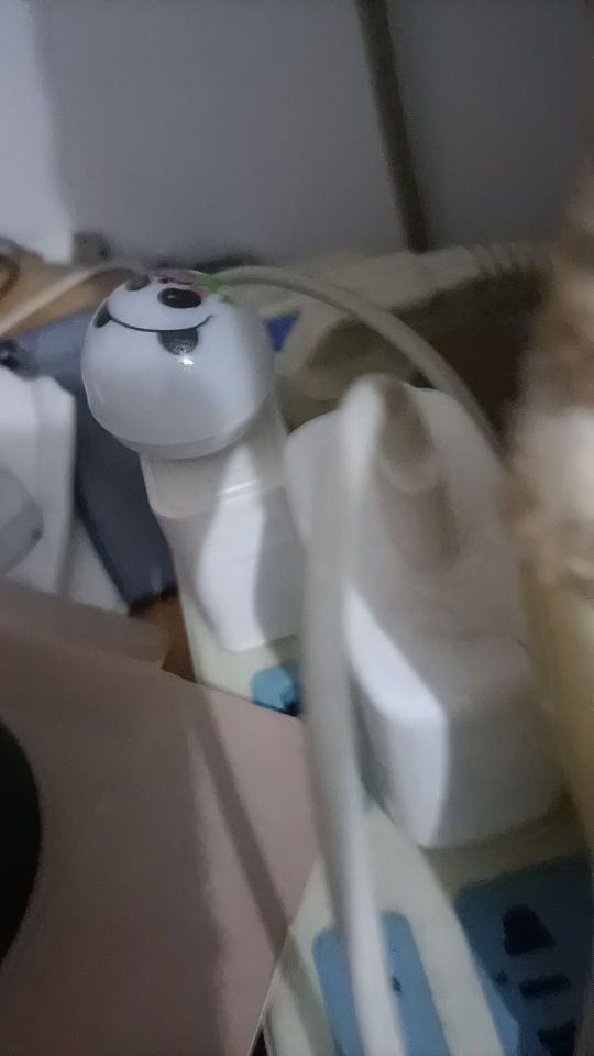 什么玩意,啥都没用#我在抖音买买买