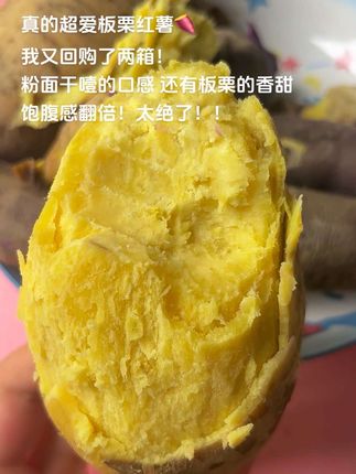 噎门永存!!谁懂这口板栗红薯的含金量!干面粉糯!!超超超超喜欢这种又干又噎还没有丝的红薯🍠干噎门集合!#板栗红薯 #粉糯香甜 #早餐吃什么 #粗粮主食 #优质农产品