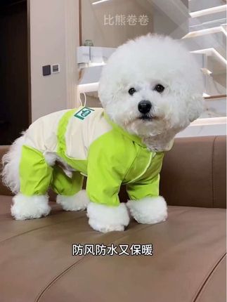 【三色四脚冲锋衣】宠物秋冬小狗冲锋衣比熊泰迪衣服秋冬可牵引四脚 #狗狗新年衣服 #宠物秋冬衣服 #泰迪熊大衣