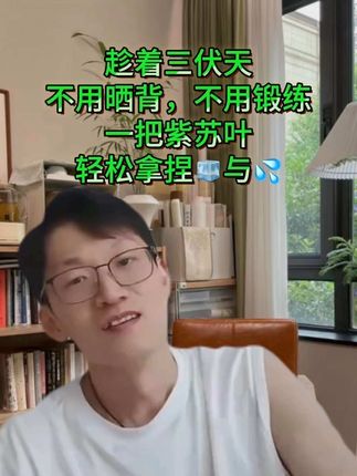 #韩明辰 #三伏天 尽量少贪凉的同时,要趁这个三伏的好时机,温养自己,把韩老师和施老师请出去,#紫苏 是这个时候一个特别好的东西