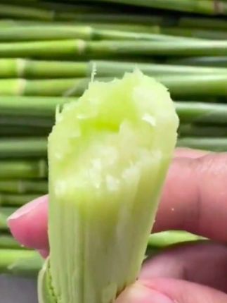 崇明芦稷甜芦粟,现采现发,吃起来又甜又脆,清甜可口,汁水丰富,特别适合夏天吃#快来一起尝个鲜 #优质农产品 #大人孩子都爱吃