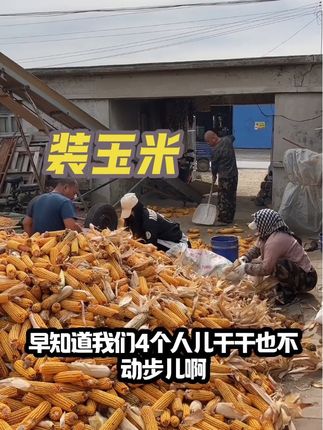 #丰收季 #农村生活记录 #抖音记录农村生活