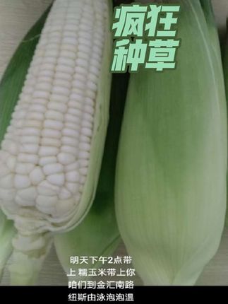#看过来 #完美 #好美的道具谁拍谁好看 #人生道路坎坷多
