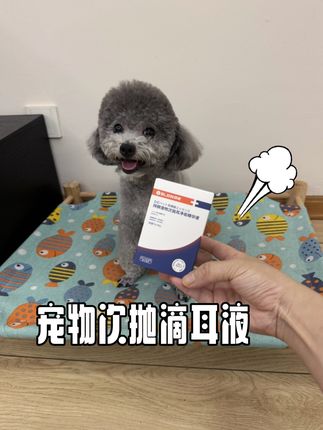 猫咪狗狗耳朵黑黑油油的,你用这个试试#萌宠好物 #新手养宠 #科学养宠攻略 #拜狮滴耳液 #养猫新手