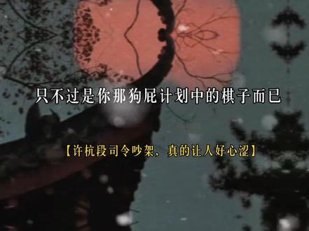 段司令:四年了,我的付出一文不值 #铜雀锁金钗 #广播剧#漫播