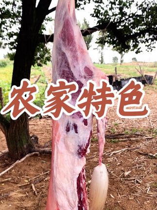 家乡的特色——陕北横山羊肉#横山羊肉 #原创视频 #返乡创业青年 #真材实料才能做出好味道 #࿆记录我的农村生活