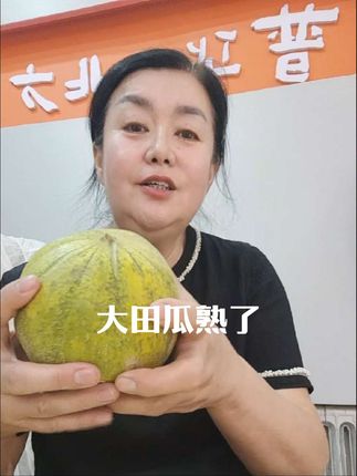 一年一度的磴口大田华莱士熟了#华莱士瓜#香甜可口#