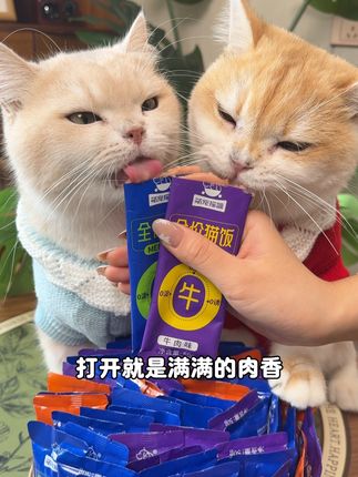 猫咪嘎嘎爱吃的猫饭,9块9到手24包,太划算了!#吃货猫 #科学养宠攻略 #猫饭#萌宠好物