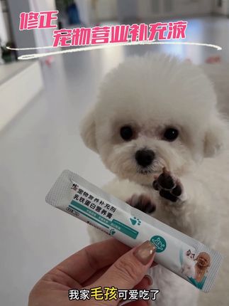 增加毛发亮度  还能补充微量元素的#营养膏 #修正 #修正宠物营养补充剂