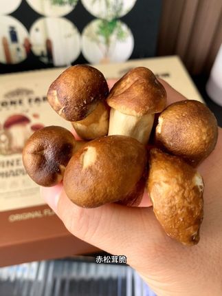 没想到第一次吃这个#松茸脆 就被种草了!酥酥脆脆的菌菇香融合着奶香,满满的膳食纤维和蛋白质,又香又酥又脆真的好好吃!#追剧小零食 #解馋#又香又酥又脆#林间赤松茸脆