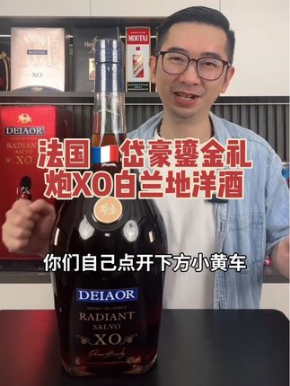 法国🇫🇷进口岱豪鎏金礼炮XO白兰地#洋酒#洋酒推荐#白兰地#XO白兰地#送人送礼