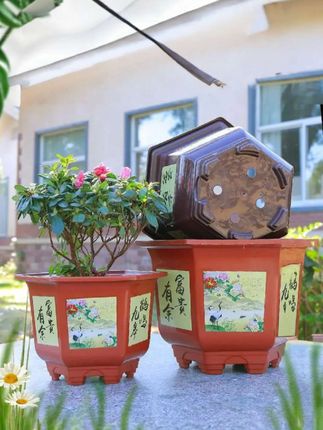 #透气花盆 #爱生活爱养花 #花盆 #花卉绿植 #绿植花卉