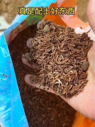 养花配土#稻壳 #配土