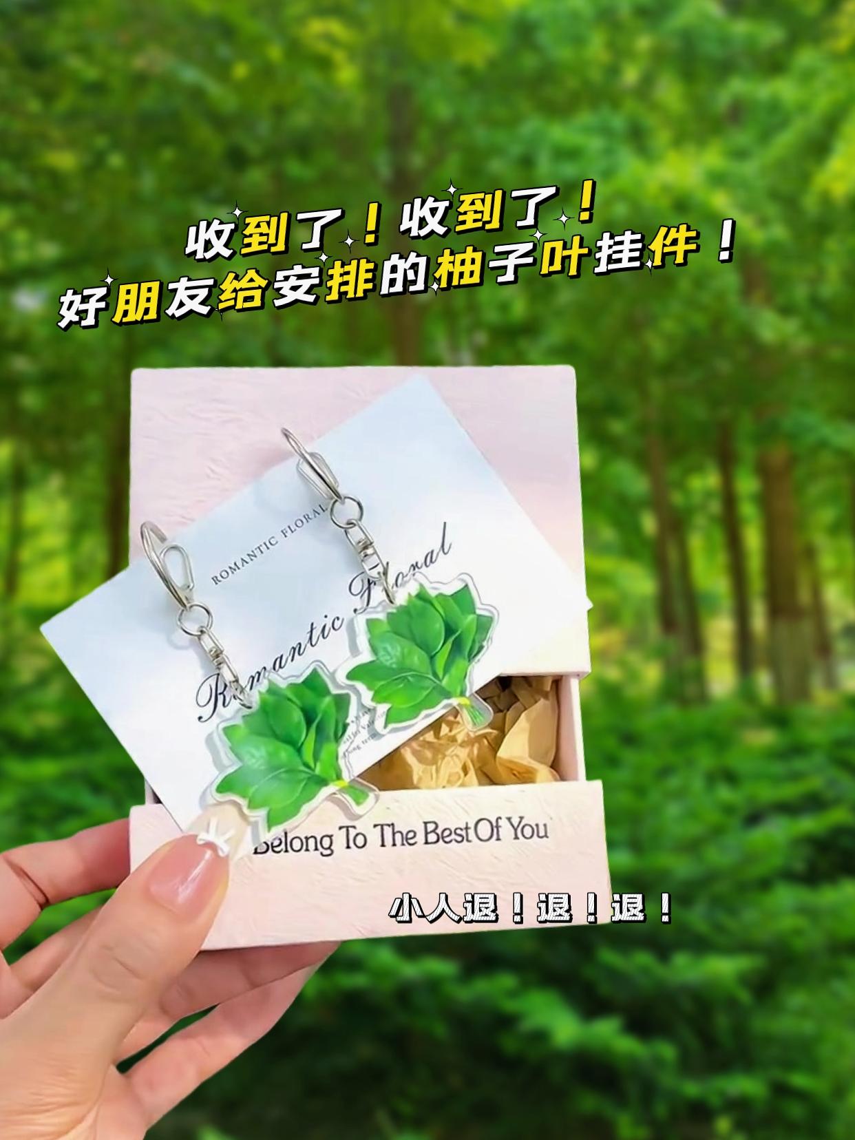 #许妍同款柚子叶挂件安排上了 #赵露思同款 #柚子叶挂件 #转运 #去晦气柚子叶