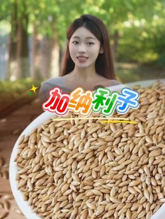 #加纳利子 @DOU+小助手
