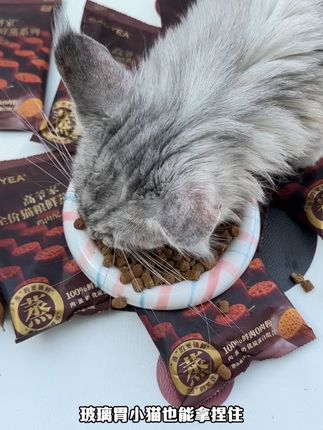 正装三十多一斤的高爷家鲜蒸猫粮 现在试吃装17.9到手十包#猫粮推荐 #试吃 #新手养猫 #萌宠好物