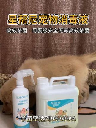 养宠怕菌毒?星帮尼宠物消毒液来守护!30 秒速灭 99.999% 常见菌,对猫杯状、犬细小等宠物高危病毒也有高灭活率,喷完安心,毛孩子玩耍、舔舐都放心~#星帮尼宠物消毒液 #小金毛 #萌宠好物推荐 #萌宠出道计划 #狗狗日常生活日记