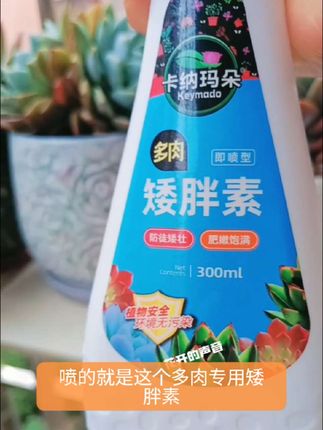 夏天气温高,遮阳又遮雨,多肉最明显的就是变绿了,摊大饼了,徒长了,还有严重的就是穿裙子了!矮胖素,它有促进光合作的吸收,:防控多肉徒长,每半个月喷一次可以大大减少多肉缺光徒长。#爱生活爱养花 #多肉养护 #好物推荐🔥