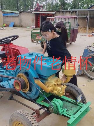 #我的农村生活日常 玉米都不要了,掀沟里去