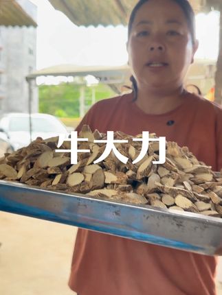 今天带你们认识一下 #牛大力#农产品 #源头好货 #特色农产品 #土特产干货