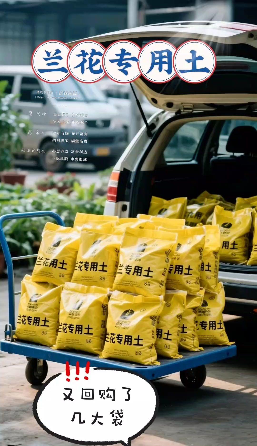兰花专用土。兰花专用土 你还在为兰花蔫软无力、缺乏生机而烦恼吗?问题大多出在植料上!这款兰科专用营养土,矿物质“能量站”猛猛输送营养,根壮、花箭直、叶片疯长,可谓养兰的“得力助手”。严选天然腐熟松针、珍珠岩、蛭石等原料,经科学配比调配,透气性好到惊艳,好比给兰根装了“通风口”,从根本上杜绝积水烂根。它营养丰富,饱含多种矿物质和微量元素,能持续为兰花生长输送能量 新手也能轻松上手。不管你是刚接触兰花的新手,还是资深养兰玩家,用它都能养出根系健壮、花箭挺拔、叶片繁茂的漂亮兰花。需要的你也速速给爱兰换上这款“育花法宝”一一兰花营养土!#兰花专用土#营养丰富#生根养根#兰科植物通用型#抖音推广
