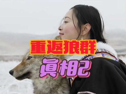 #重返狼群 #李微漪 #李微漪和格林的故事 #格林李微漪 @DOU+小助手