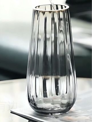 轻奢花瓶大号透明水养富贵竹鲜花ins风高级客厅插花装饰#质感花瓶 #花瓶摆件 #花瓶 #花瓶插花 #花瓶推荐