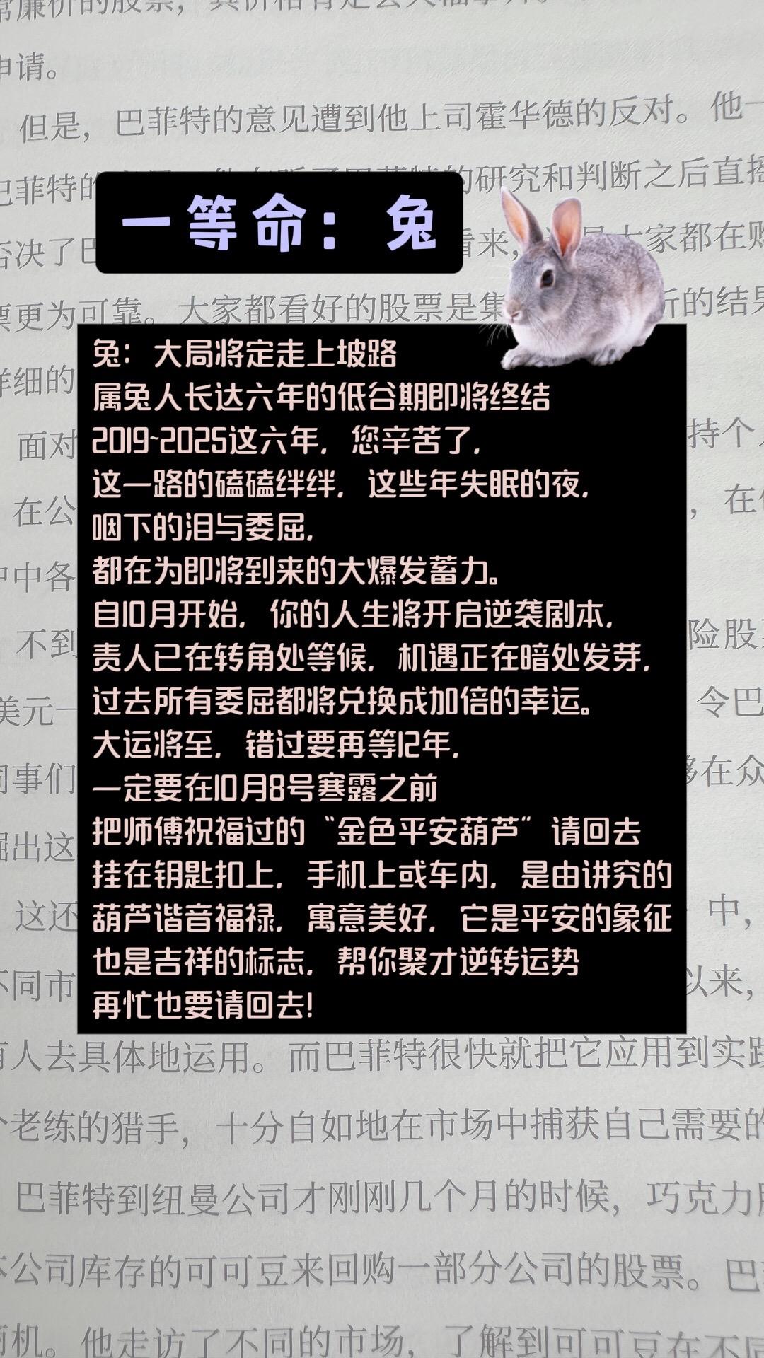#1963年的兔 #1975年的兔 #1987年的兔