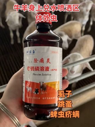 #三农 #自繁自养 #养羊人 #农村创业养殖