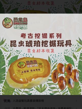 昆虫琥珀标本挖掘科普套装益智考古体验玩具【15种不同真实昆虫】#昆虫 #玩具#套装#益智
