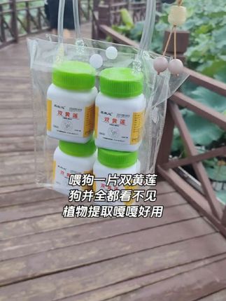 植物提取嘎嘎好用,猫狗主子们快备上#双黄莲#兽用双黄莲#养猫必备#养狗必备#科学养宠攻略