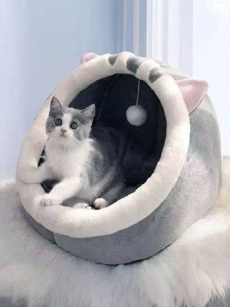 #宠物窝#猫窝别墅 #狗窝#猫窝半封闭式#保暖猫窝@DOU+小助手