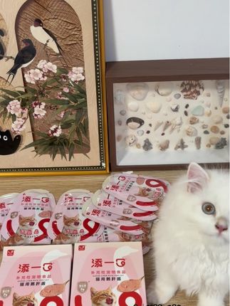 谁还没给小猫吃上添一口的鹅肝酱呀,简直太美味了#养猫新手 #添一口 #添一口鹅肝酱 #萌宠好物 #添一口宠物辅食
